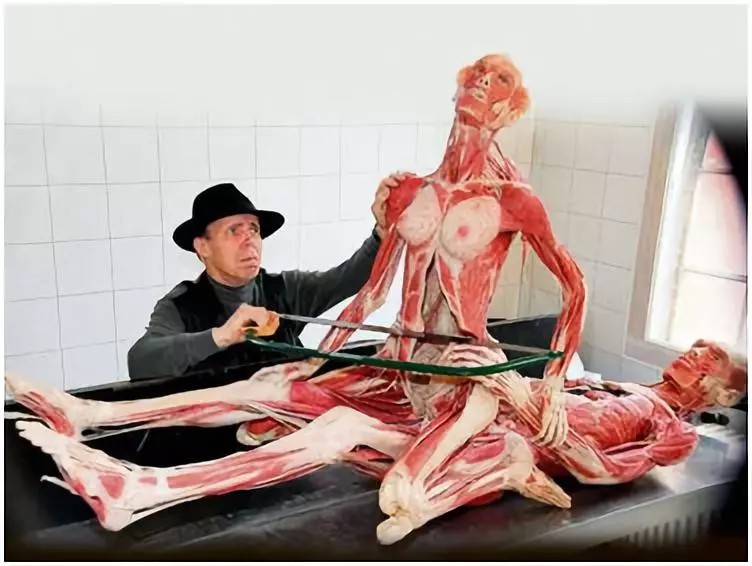 米蘭將舉辦尸體展！骨骼，肌肉，血管...一覽無遺！你敢看嗎?